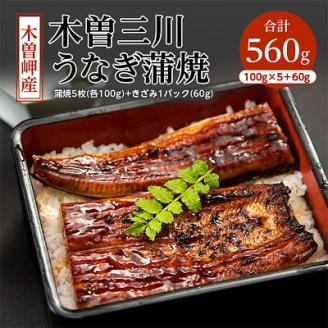 木曽岬産「木曽三川うなぎ」うなぎ蒲焼5枚(各100g)+きざみ(60g)付【配送不可地域：離島】
