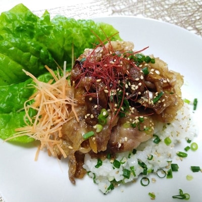 三重県産　伊勢水沢牛ローススライス　480g【UF-008】【配送不可地域：離島】