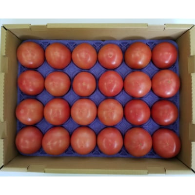 きそさきのとまと(4kg)【配送不可地域：離島】