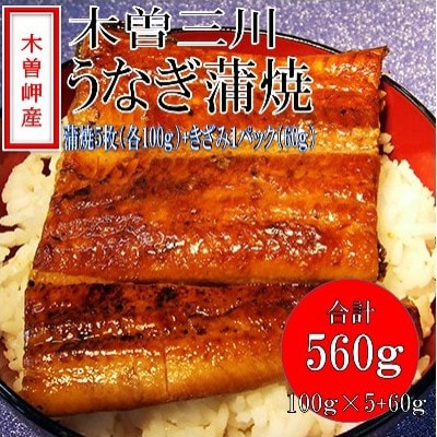 「2024年2月発送」木曽岬産「木曽三川うなぎ」うなぎ蒲焼5枚(各100g)+おまけ(60g)付【配送不可地域：離島】