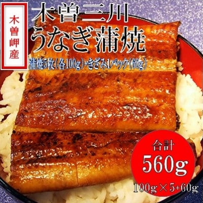 「2024年5月発送」木曽岬産「木曽三川うなぎ」うなぎ蒲焼5枚(各100g)+おまけ(60g)付【配送不可地域：離島】