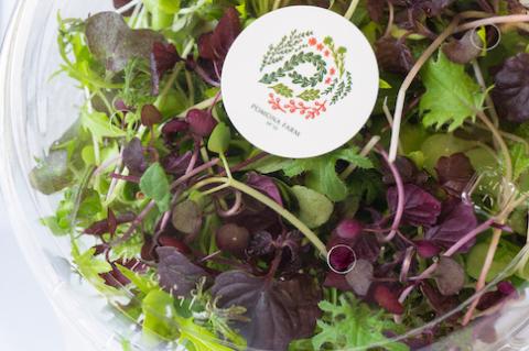 【農福連携】PF-06　食卓彩るしあわせサラダセット（3人前）