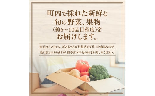 FY-02　大師の里旬のとれたて野菜と果物セット