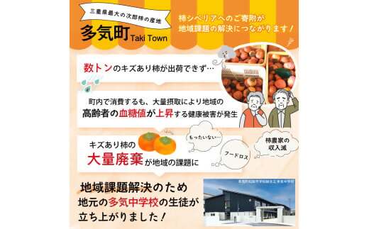 キズ柿をつかった柿ようかん 10個入り 次郎柿 たねなし 柿 かき フルーツ 種なし SDG’s 干し柿 三重県 多気町 gf-18