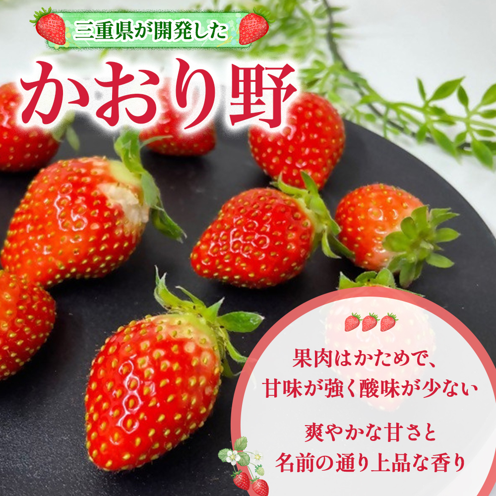 （小粒）農林水産大臣賞受賞農園からお届けする【訳アリ】かおり野　1kg (250g×4) /いちご イチゴ 苺 三重県 多気町 ISH-02