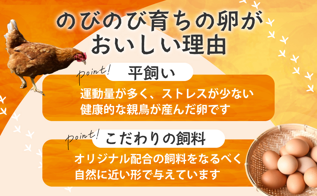 【6ヶ月定期便】計180個 のびのび育ちの平飼い有精卵 30個×6ヶ月 定期 定期便 平飼い 有精卵 たまご 卵 玉子 タマゴ 鶏卵 オムレツ 卵かけご飯 たまご焼き 国産 すき焼き 三重県 多気町 JK-05