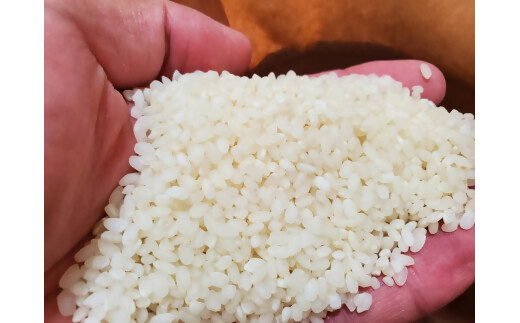 【令和7年産米】ミルキークイーン 10㎏ (5㎏×2) 米 コメ みるきーくいーん 精米 白米 10kg 5kg 国産 ごはん 人気 おすすめ  三重県 多気町 NNS-01