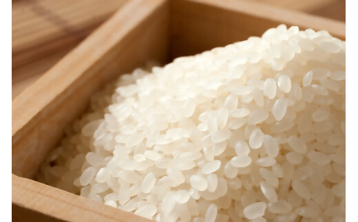  【令和8年産】【10月発送予定】先行予約 新米 ミルキークイーン 10㎏ ( 5kg ×2 ) 農家直送 ミルキークイーン お米 米 こめ コメ 10キロ ミルキークイーン 精米 令和7年度 ミルキークイーン 先行 予約 ミルキークイーン 三重県 多気町 OKN-03-1