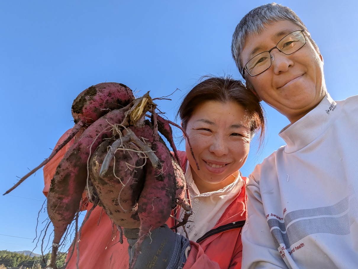 農薬・化学肥料不使用　温室効果ガス削減に貢献しながら、のどかな畑で大切に育てた　熟成　蜜芋　サツマイモ（紅はるか）４ｋｇ　S～LLサイズ混合  TFN-01