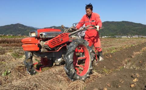 JA-01　300年の歴史を誇る特産伊勢いも