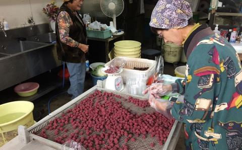 TH-01 40年作り続けてきた無添加梅干しと季節の食べ物セット