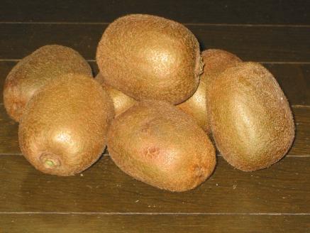 SY-01　スイートキウイ