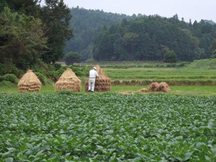 【新型コロナ被害支援】SM-02　まめやのお豆腐セット