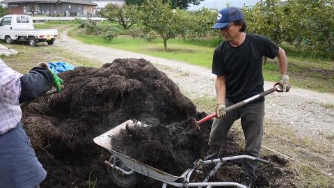 KN-01　2015世界土壌微生物五輪で銀メダル受賞！土力のフルーツトマト