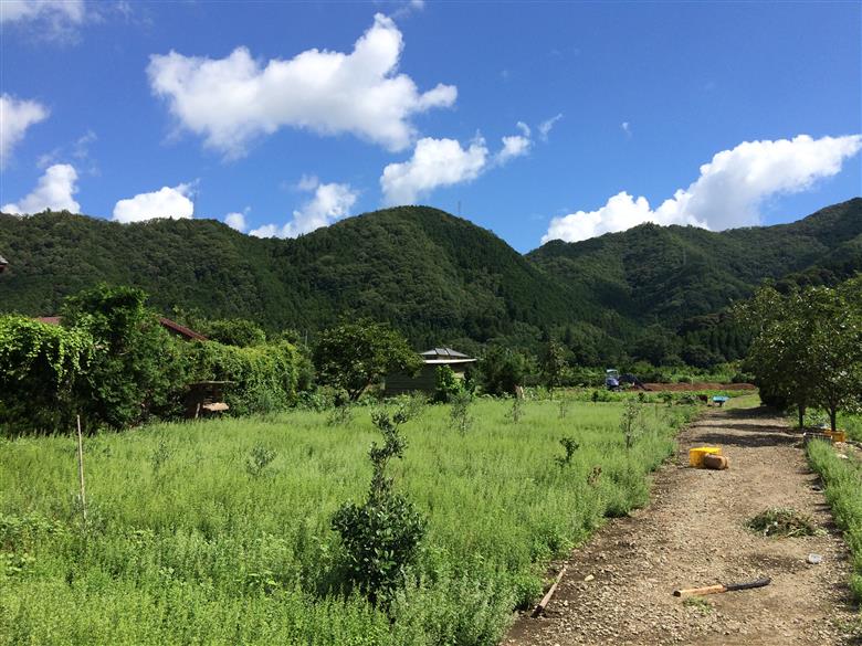 無農薬ハーブ園から採取した超希少な日本ミツバチの蜂蜜　GE-05