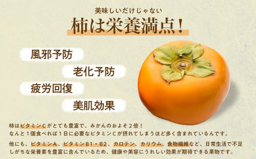 【令和8年産柿　先行予約】《 訳あり 》5㎏ 次郎柿 たねなし 柿 かき フルーツ 家庭用 訳あり 規格外 わけあり 不揃い ふぞろい   種なし 干し柿  三重県 多気町 GF-17