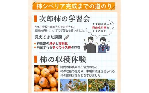 キズ柿をつかった柿ようかん 10個入り 次郎柿 たねなし 柿 かき フルーツ 種なし SDG’s 干し柿 三重県 多気町 gf-18