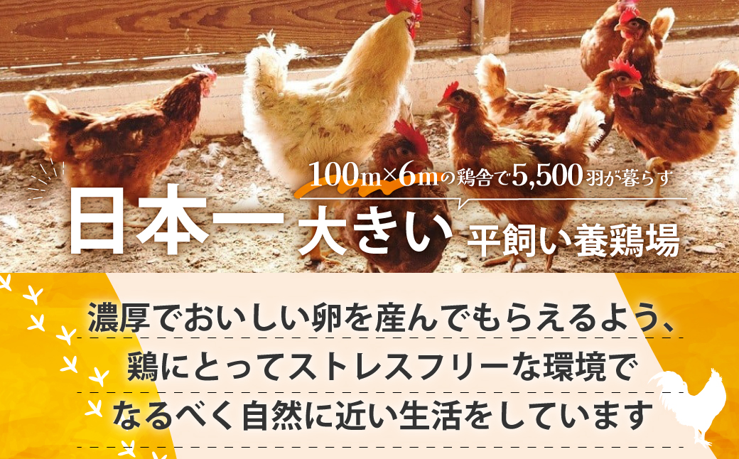【6ヶ月定期便】計180個 のびのび育ちの平飼い有精卵 30個×6ヶ月 定期 定期便 平飼い 有精卵 たまご 卵 玉子 タマゴ 鶏卵 オムレツ 卵かけご飯 たまご焼き 国産 すき焼き 三重県 多気町 JK-05