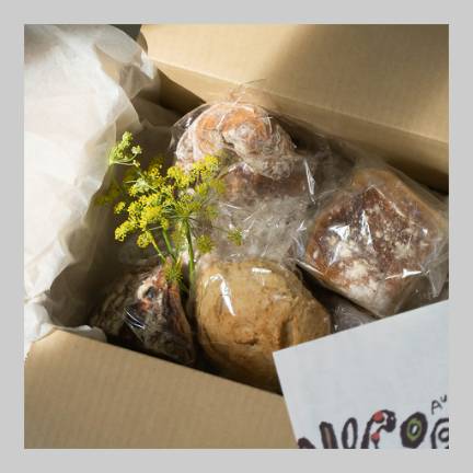 NP-01　カラダヨロコブ天然酵母のニコパンセットA