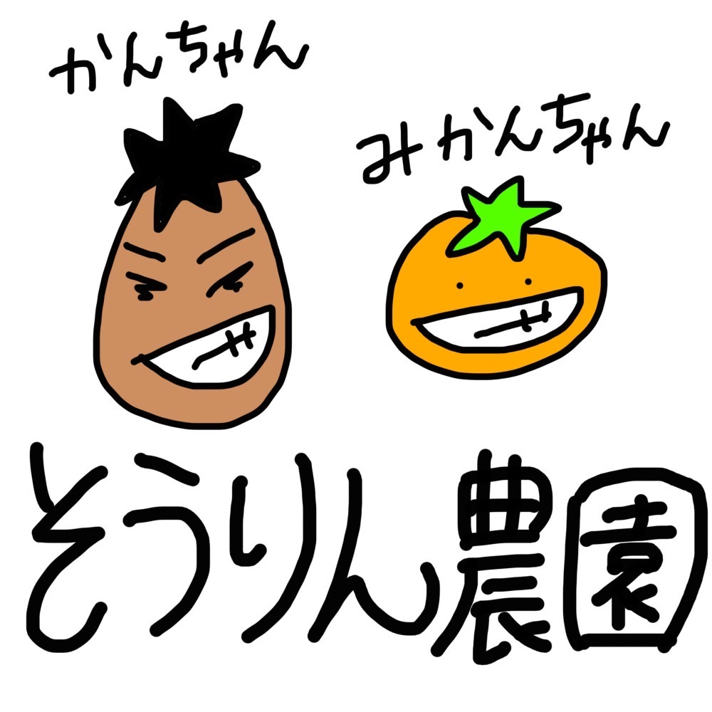 SN-01　【お届け時期限定】 早生みかん S～2Lサイズ 5kg