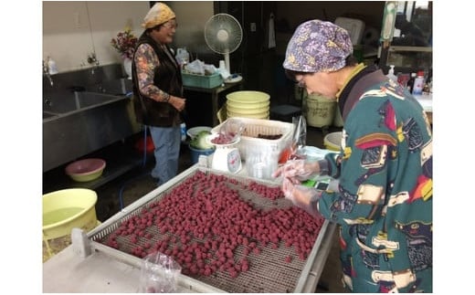 TH-04 40年作り続けてきた無添加多気町産南高梅干しと季節の食べ物セット