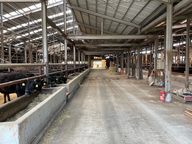 【高島屋選定品】＜お肉の専門店スギモト＞松阪牛ステーキ用（サーロイン肉）TSY-201　サーロイン肉３枚４５０ｇ　TSY-03-01