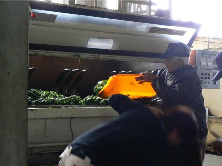 KH-02　伊勢茶ティーバックバラエティセット