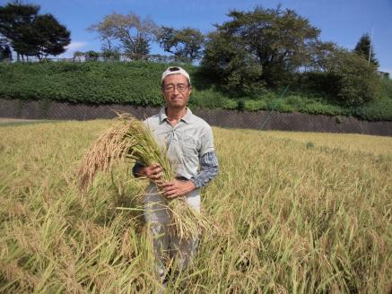 AF-02　旬の無農薬野菜と無農薬米のセット 《R5年産米》