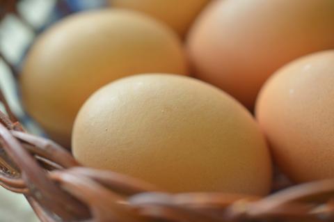 JK-01 たまご屋さんの ギフトセット (平飼い有精卵)