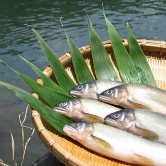 MN-03　料亭の鮎の甘露煮と地元山菜佃煮セットＢ