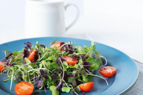 【農福連携】PF-06　食卓彩るしあわせサラダセット（3人前）