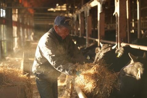 【数量限定】幻の松阪牛　特産松阪牛のモモすき焼き500ｇ　CDY-02