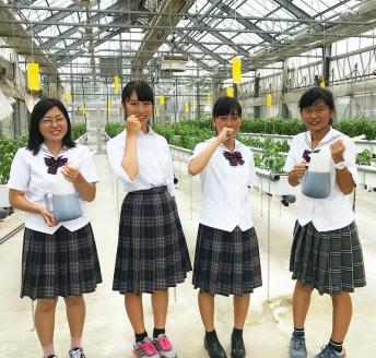 ON-02　世界初！高校のバイオマスプラントで栽培したバジルオイル　270ｇ×２本