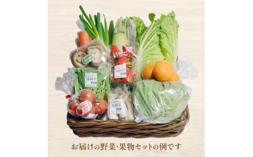 FY-02　大師の里旬のとれたて野菜と果物セット