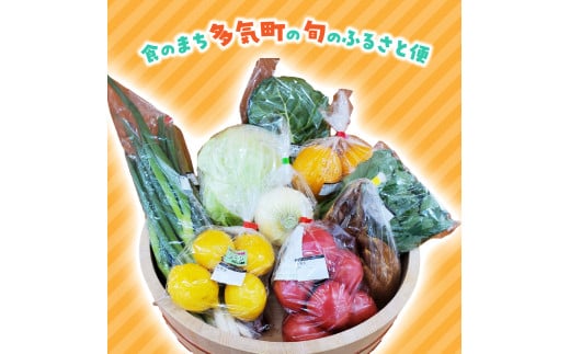 GF-06 旬の野菜と果物のふるさと便