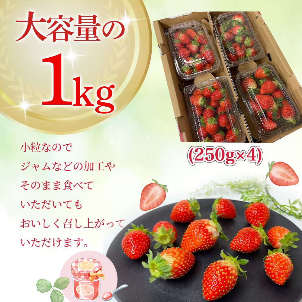 （小粒）農林水産大臣賞受賞農園からお届けする【訳アリ】かおり野　1kg (250g×4) /いちご イチゴ 苺 三重県 多気町 ISH-02