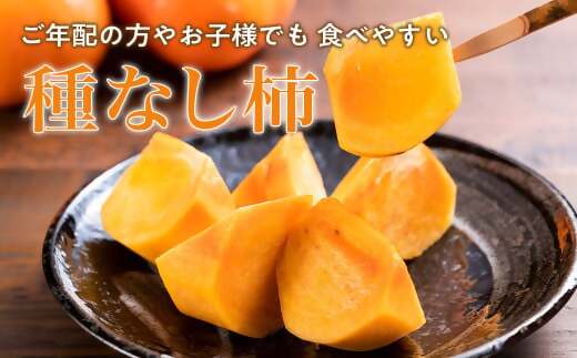 【令和8年産柿/先行予約】20～26玉 多気町発祥 前川次郎 完全甘柿 次郎柿 たねなし 柿 かき フルーツ 種なし 干し柿 先行 先行予約 三重県 多気町 JA-02