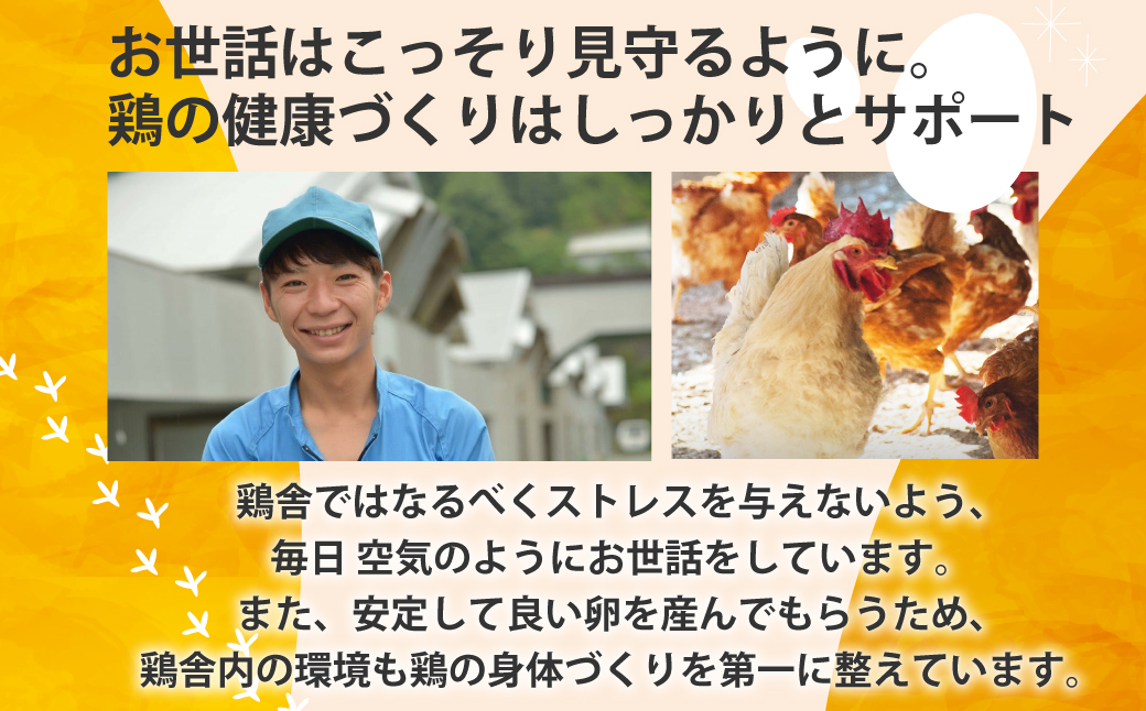 のびのび育ちの平飼い有精卵 30個 （10個入×3P） 平飼い 有精卵 たまご 卵 玉子 タマゴ 卵 鶏卵 オムレツ 卵 卵かけご飯 たまご焼き 国産 すき焼き 卵 三重県 多気町 JK-03