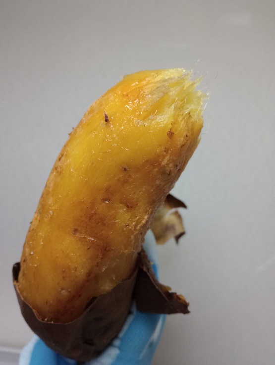 農薬・化学肥料不使用　温室効果ガス削減に貢献しながら、のどかな畑で大切に育てた　熟成　蜜芋　サツマイモ（紅はるか）４ｋｇ　S～LLサイズ混合  TFN-01