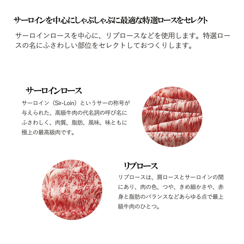 松阪牛 しゃぶしゃぶ　特選ロース 500g 桐箱入り リブロース サーロイン TKG-42 500ｇ