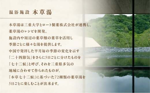 VISON HOTEL ご宿泊券2名様1室 百合（一泊朝食付き） ヴィソンホテル ホテル 宿泊 自然 山々 テラス ツインルーム お泊り 一泊二日 ペア 半露天 朝食 朝食付き breakfast ブレックファースト 三重県 多気町 三重 VH-01