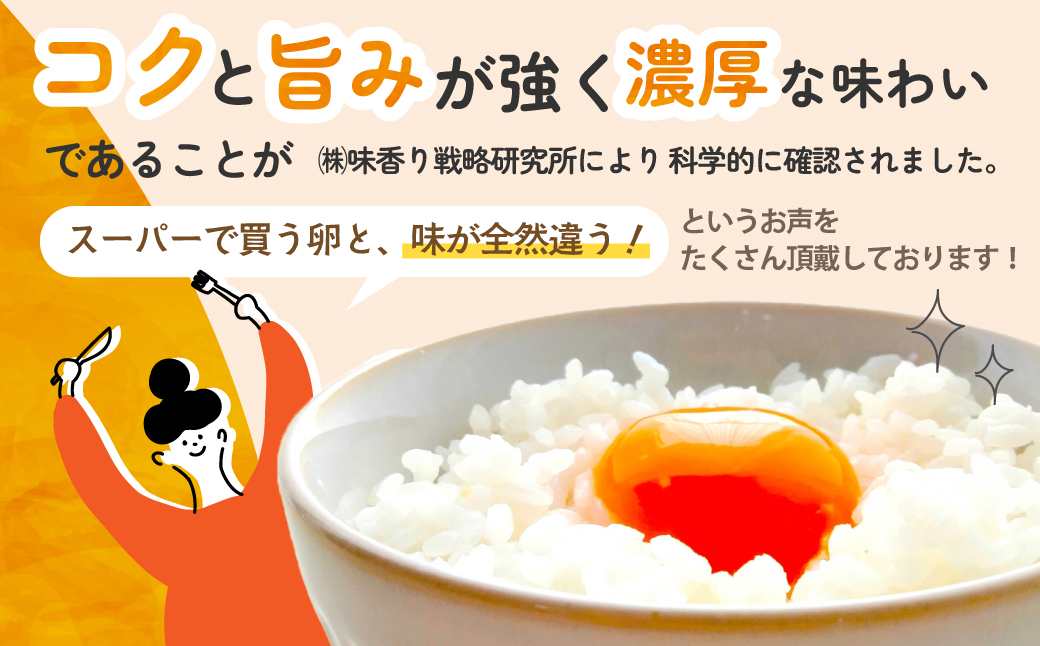 【6ヶ月定期便】計180個 のびのび育ちの平飼い有精卵 30個×6ヶ月 定期 定期便 平飼い 有精卵 たまご 卵 玉子 タマゴ 鶏卵 オムレツ 卵かけご飯 たまご焼き 国産 すき焼き 三重県 多気町 JK-05