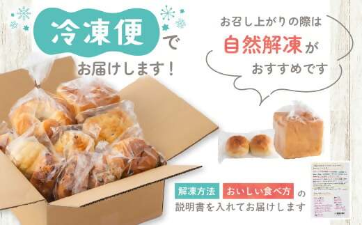 店主気まぐれ「パン」の詰め合わせセット 10種類以上 国産小麦 国産 自家製酵母 パン詰め合わせ 三重県 多気町 NT-01