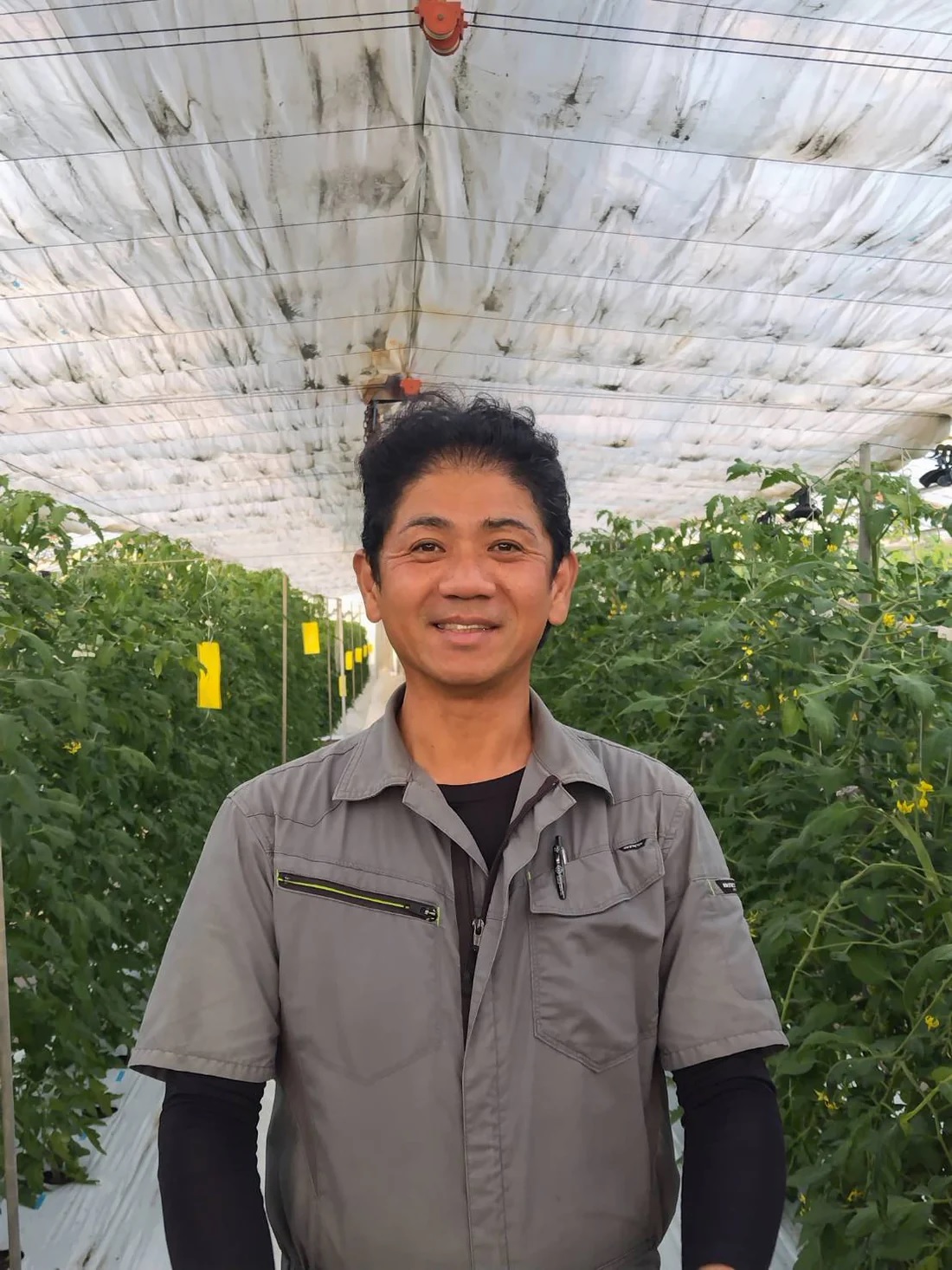 SFS-01　第4回全国トマト選手権銀賞受賞農園から贈る大玉トマト詰め合わせ