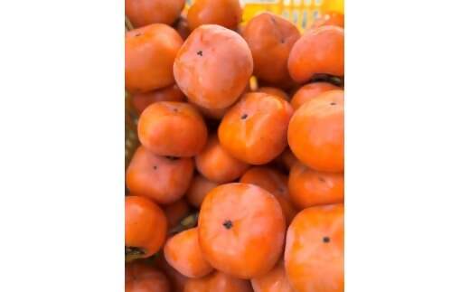 【令和8年産柿/先行予約】優しい農園の訳あり次郎柿 10kg 次郎柿 たねなし 柿 かき フルーツ 家庭用 訳あり 規格外 わけあり 不揃い ふぞろい 種なし 干し柿 先行 先行予約 三重県 多気町 YSN-01-26