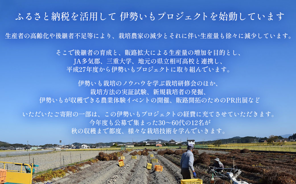 伊勢いも すりおろし 冷凍とろろ 伊勢いも 芋 イモ とろろ 伊勢芋 とろろ芋 すりおろし 野菜 農作物 お手軽 とろろ汁 ご飯 そば つけ汁 健康 稀少 名産品 簡単 便利 個包装 粘り 冷凍 三重県 多気町 HK-01