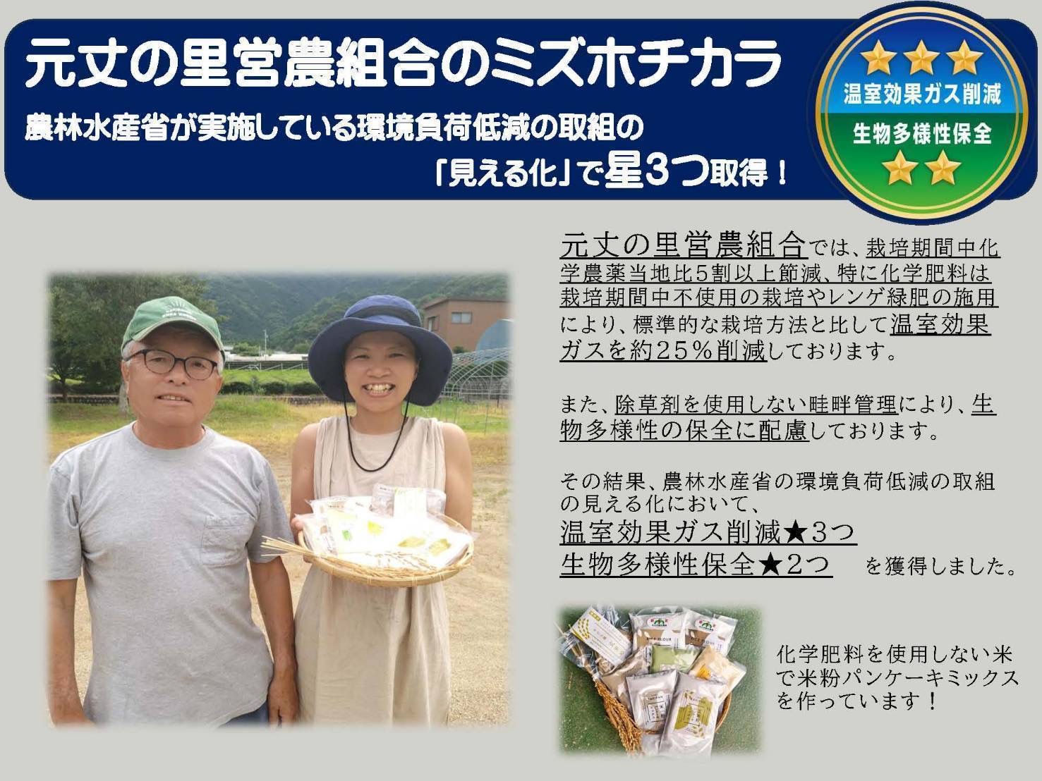 ビタミン・ミネラル豊富な栄養食！グルテンフリーの平打ち玄米麺６袋　GE-06