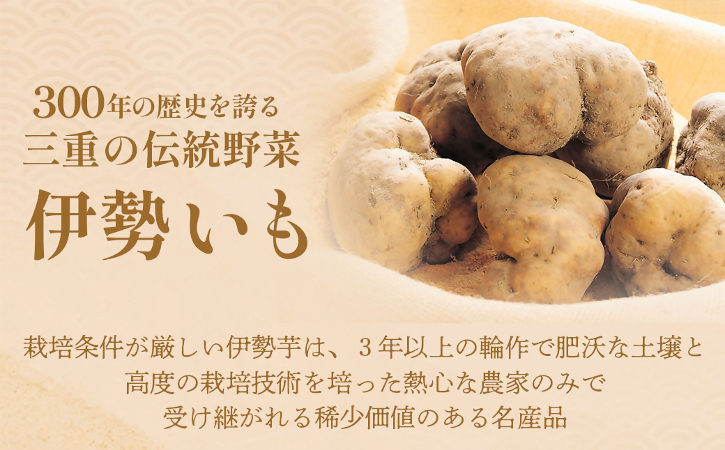 伊勢いも すりおろし 冷凍とろろ 伊勢いも 芋 イモ とろろ 伊勢芋 とろろ芋 すりおろし 野菜 農作物 お手軽 とろろ汁 ご飯 そば つけ汁 健康 稀少 名産品 簡単 便利 個包装 粘り 冷凍 三重県 多気町 HK-01