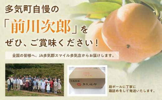 【令和8年産柿/先行予約】20～26玉 多気町発祥 前川次郎 完全甘柿 次郎柿 たねなし 柿 かき フルーツ 種なし 干し柿 先行 先行予約 三重県 多気町 JA-02