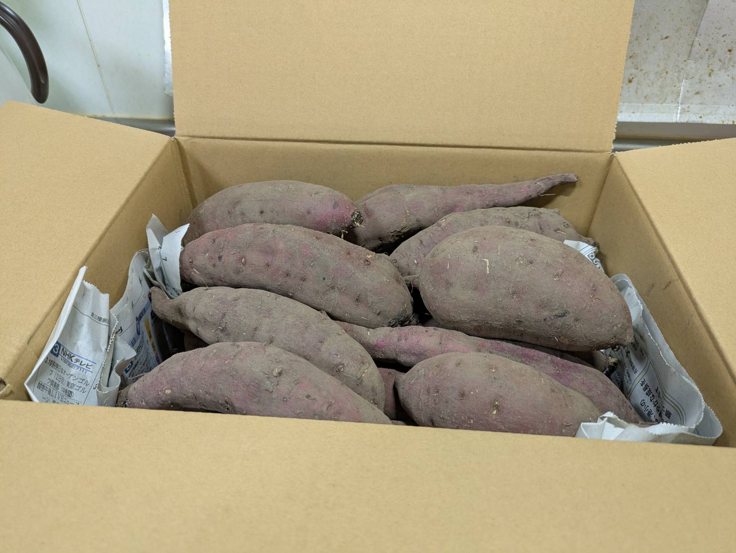 農薬・化学肥料不使用　温室効果ガス削減に貢献しながら、のどかな畑で大切に育てた　熟成　蜜芋　サツマイモ（紅はるか）４ｋｇ　S～LLサイズ混合  TFN-01